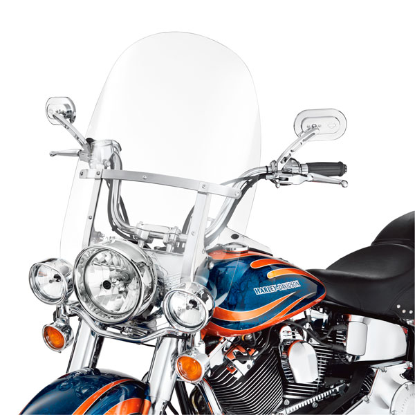 Harley davidson 2024 softail models